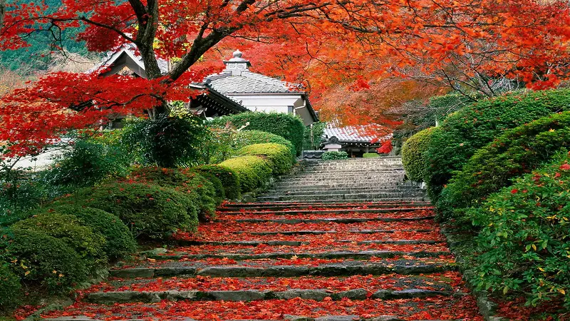 日本京都花园风景