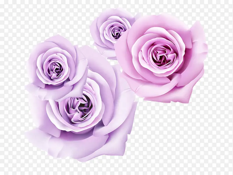紫色玫瑰立体花