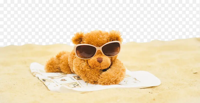 棕色沙滩泰迪熊