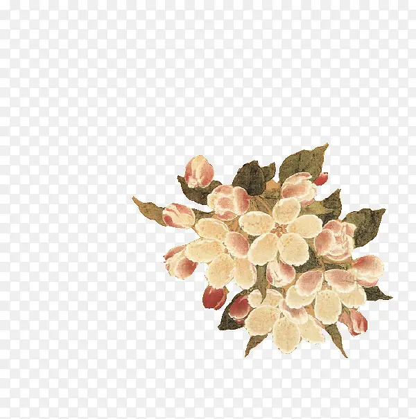 繁花锦簇