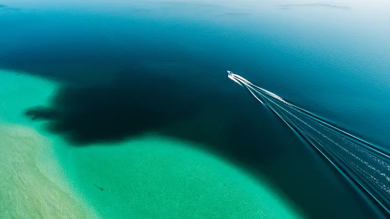 绿色的海岸线海报背景