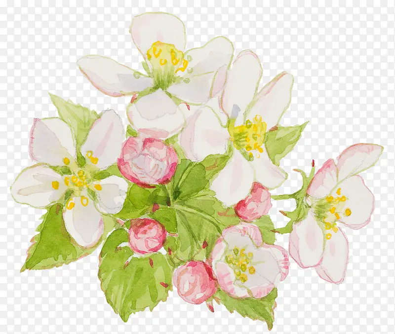 油彩白色花朵