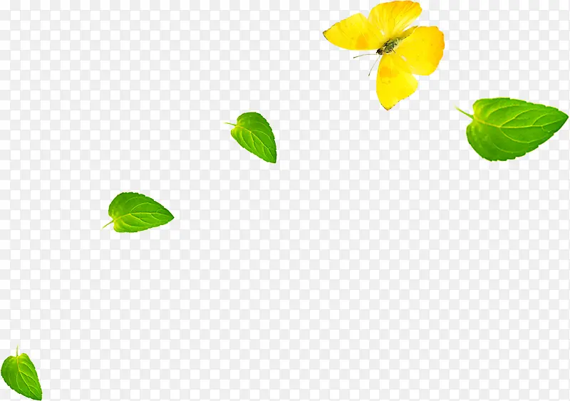 绿色清新漂浮树叶黄色树叶造型蝴蝶