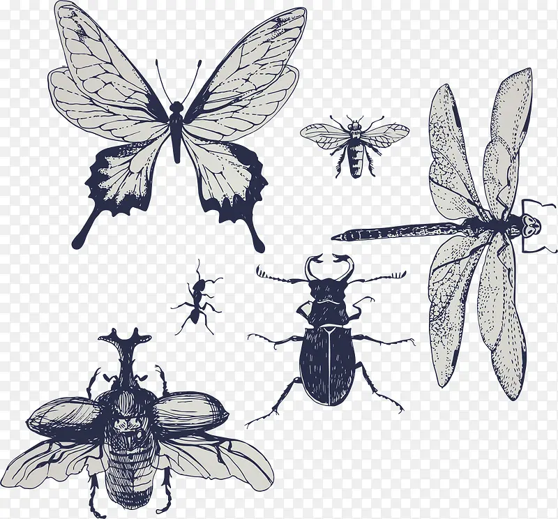 各类昆虫图标