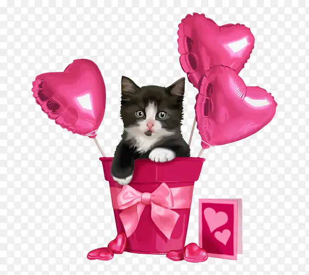 情人节送给爱人的可爱猫咪礼物