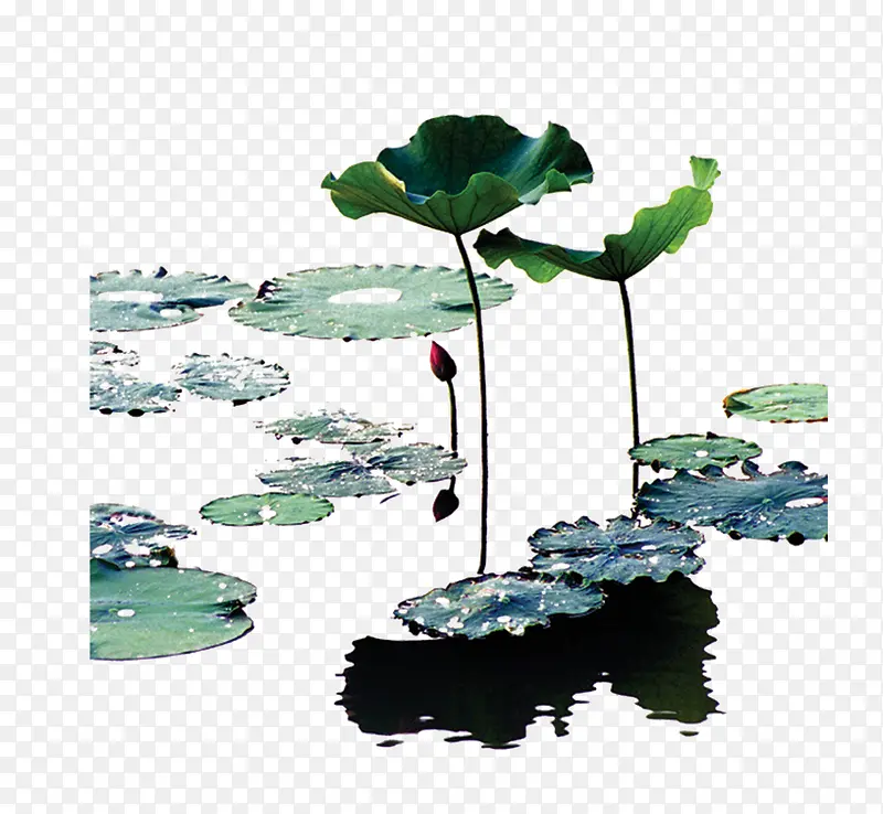 漂浮花瓣气泡简洁大方树叶树丛