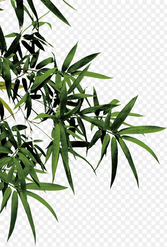 创意合成摄影森林竹子