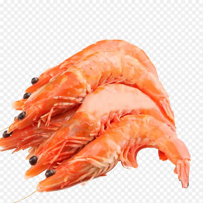 鱼虾龙虾图片