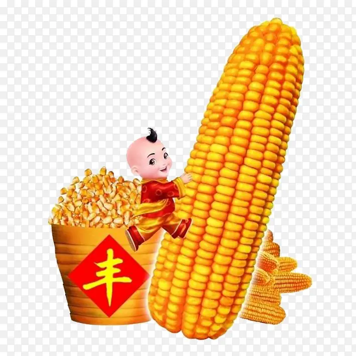 中国喜庆过年娃丰收玉米