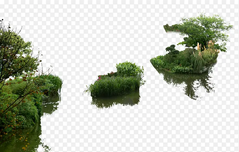 高清环境摄影绿色草丛森林