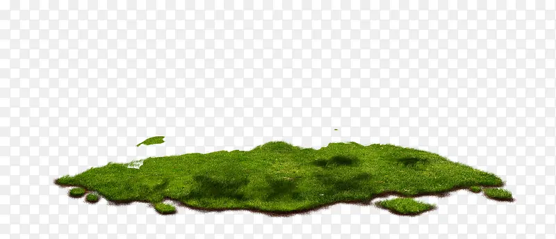 绿色草坪地图形状