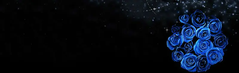 黑蓝色玫瑰唯美背景banner