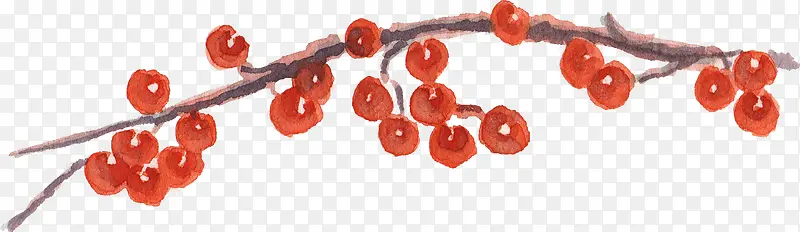 手绘树枝上的红果子