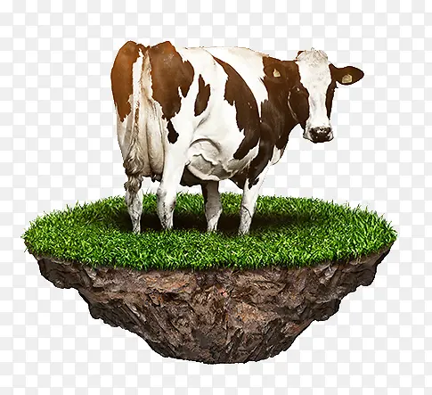 立体草坪奶牛