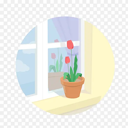 窗台上的一盆植物