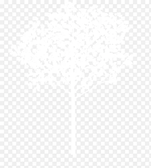 白色小树