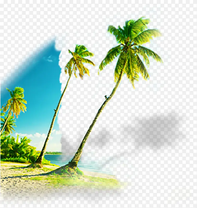 夏日蓝天沙滩椰树素材