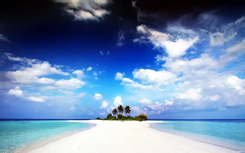 蓝天户外热带椰树