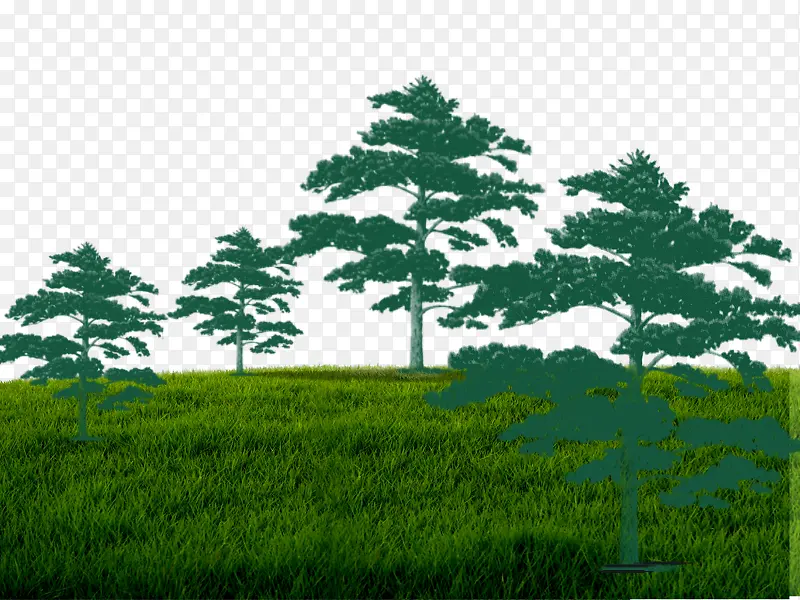 绿色森林草原