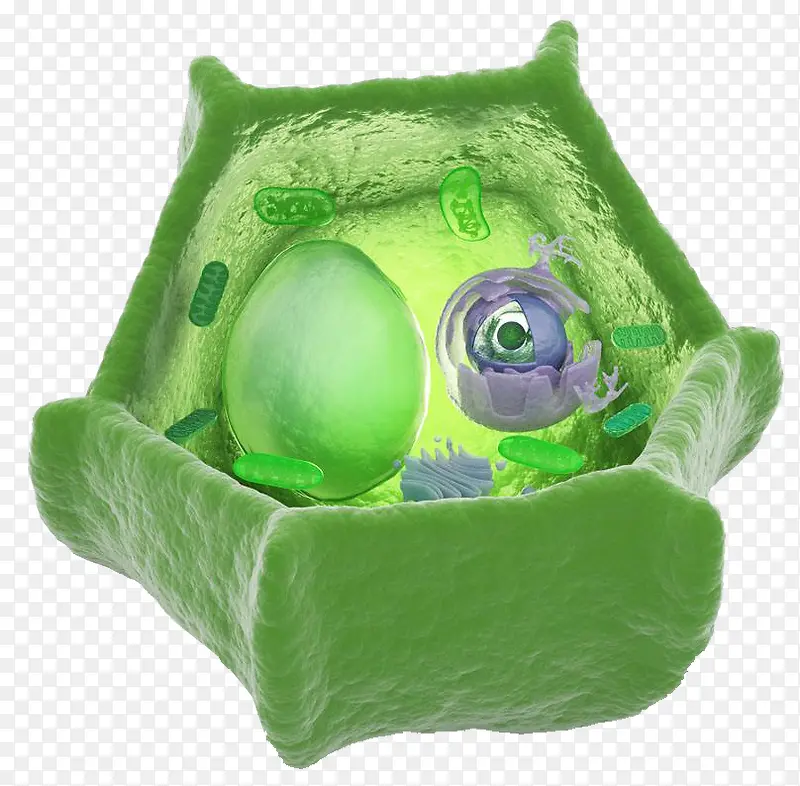绿色医学生物细胞