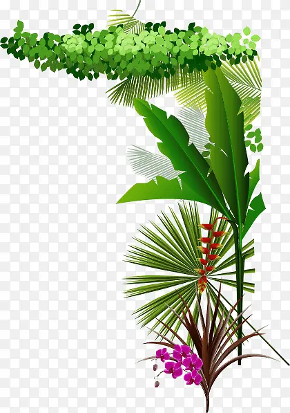 绿色植物PNG图片素材下载_图片编号yjexegoo-免抠素材网