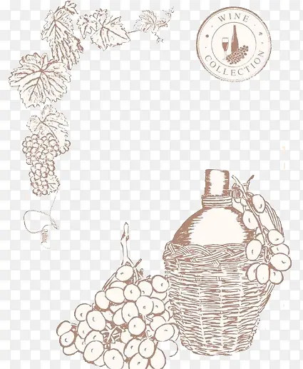 素描葡萄藤