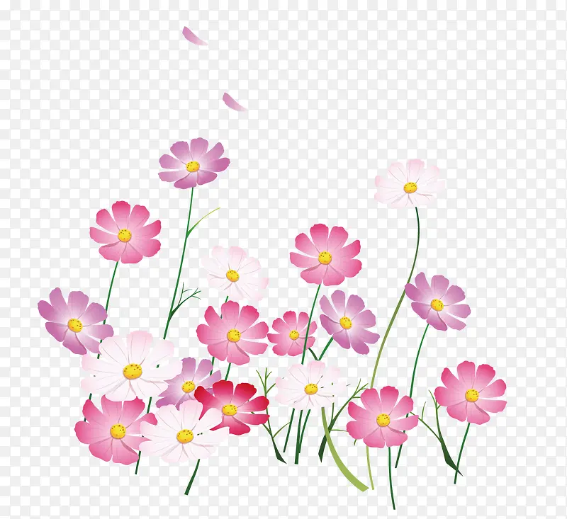 路边小花