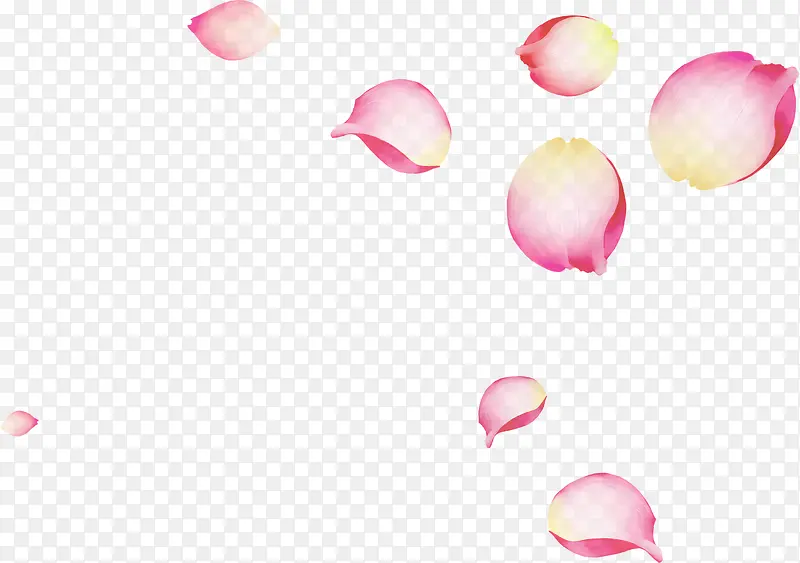 粉色烂漫花朵装饰