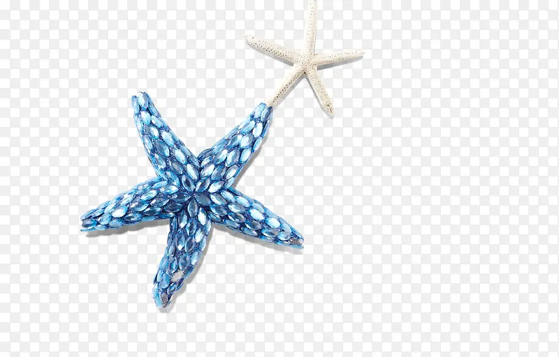 蓝色白色五角星海星，贝壳类，海