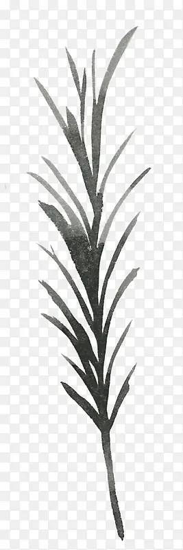 手绘植物PNG图片素材下载_图片编号qrmkveld-免抠素材网