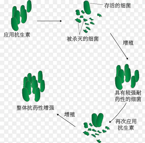 细菌产生耐药性示意图