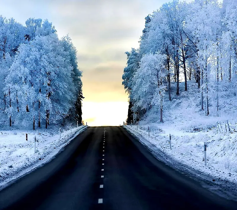 冬季公路森林雪景