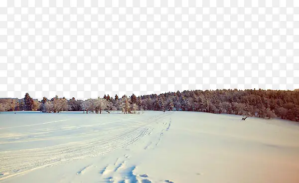 雪乡森林景色