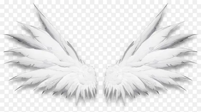 高清创意白色的翅膀造型