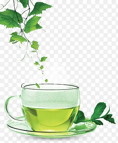 绿叶和绿茶