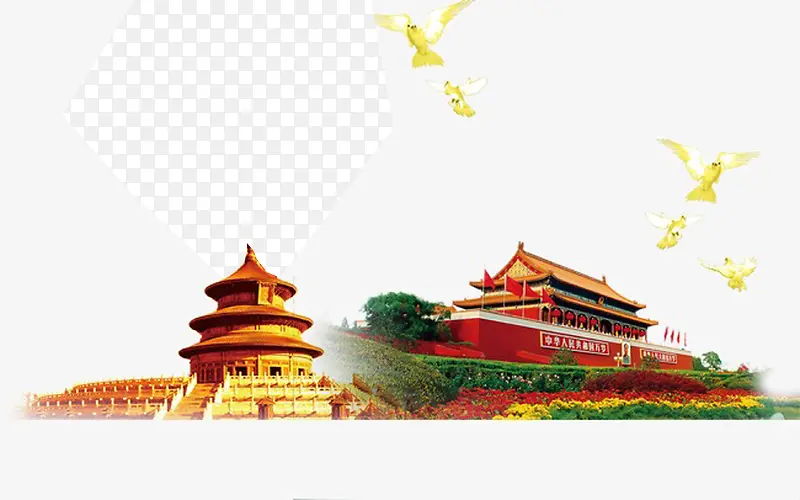 白色和平鸽建筑物拍摄
