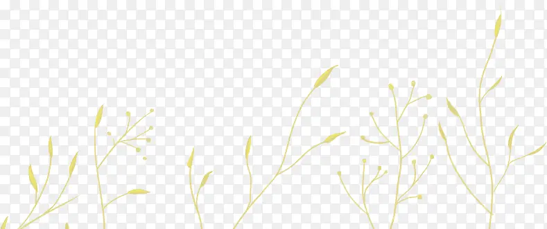 芦苇