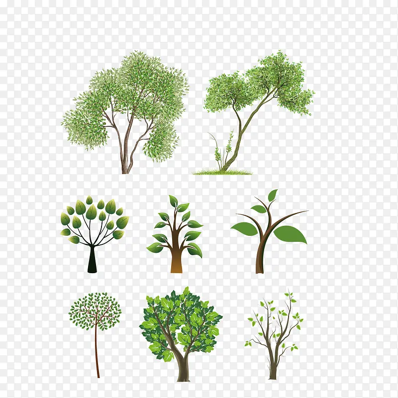 绿色植物树木