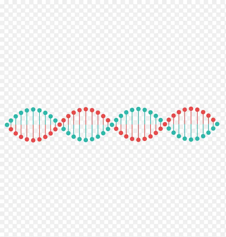 矢量DNA