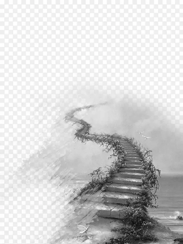 远方的路