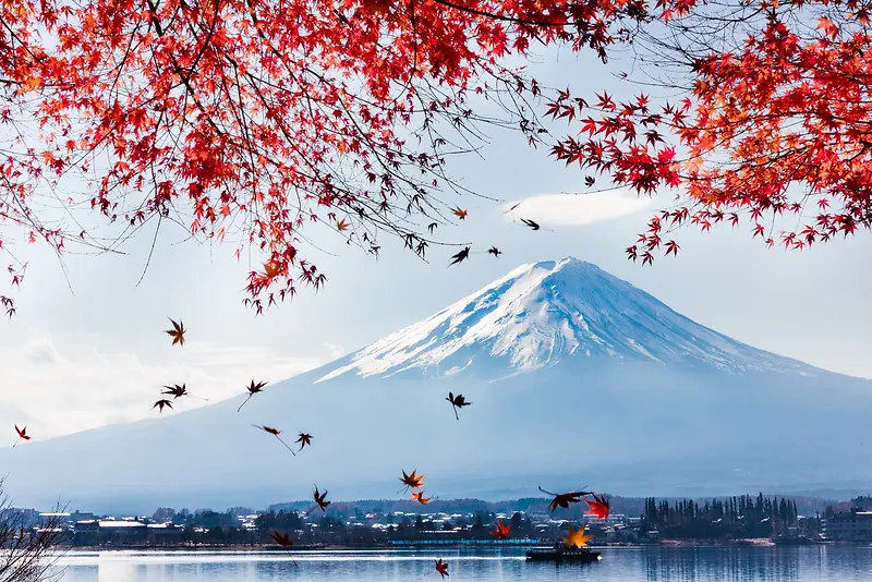 雪山下平静湖面花朵