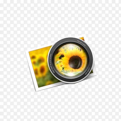 写实相机照片