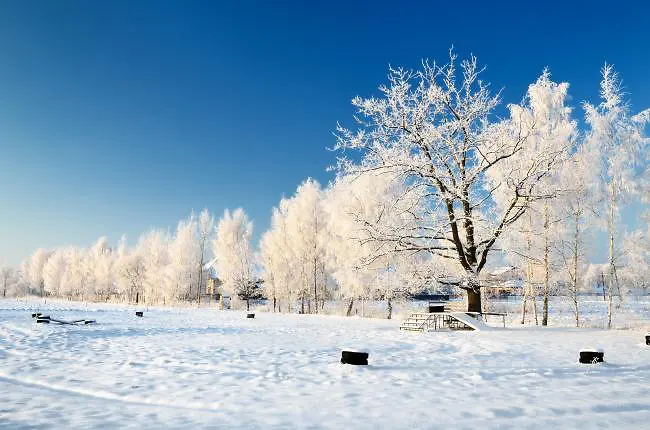 冬季户外公园雪景
