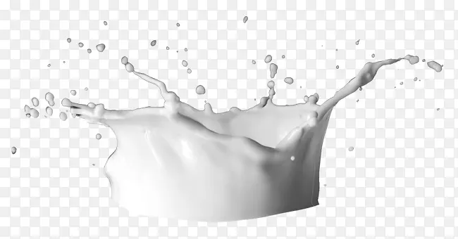 喷溅的牛奶 白色 溅射牛奶