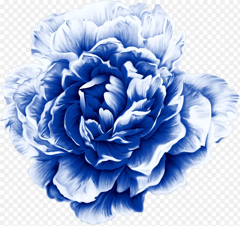 牡丹花纹