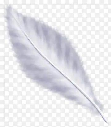 羽毛翅膀  白色羽毛