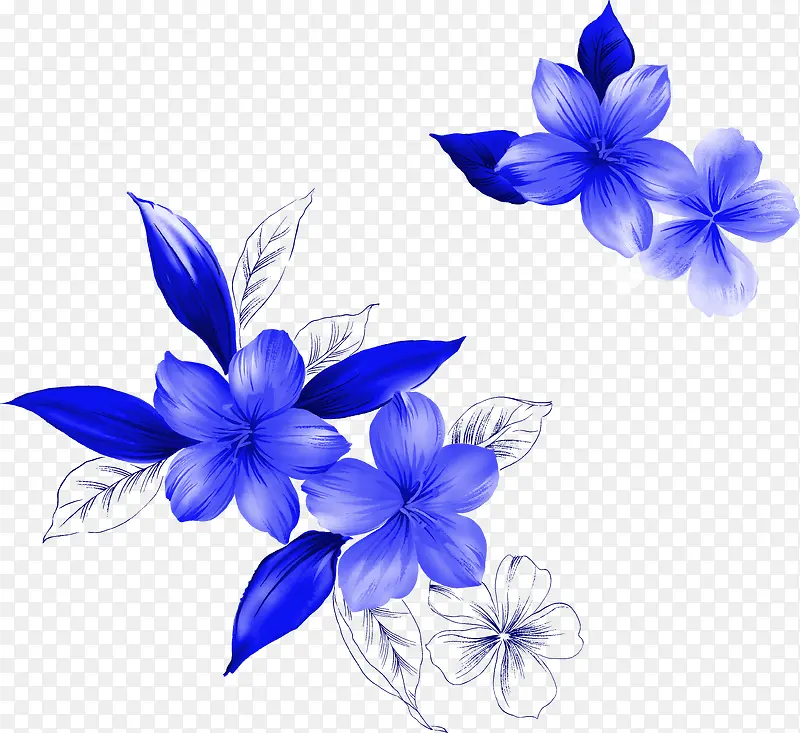 牡丹花纹