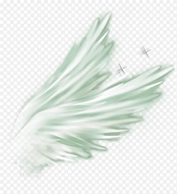 白色唯美翅膀星光