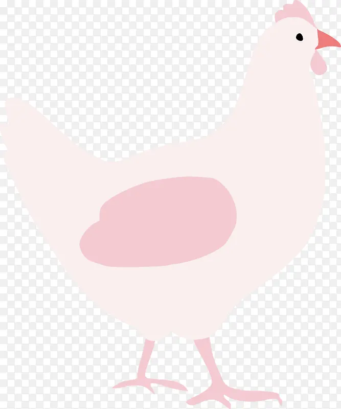 粉色的母鸡