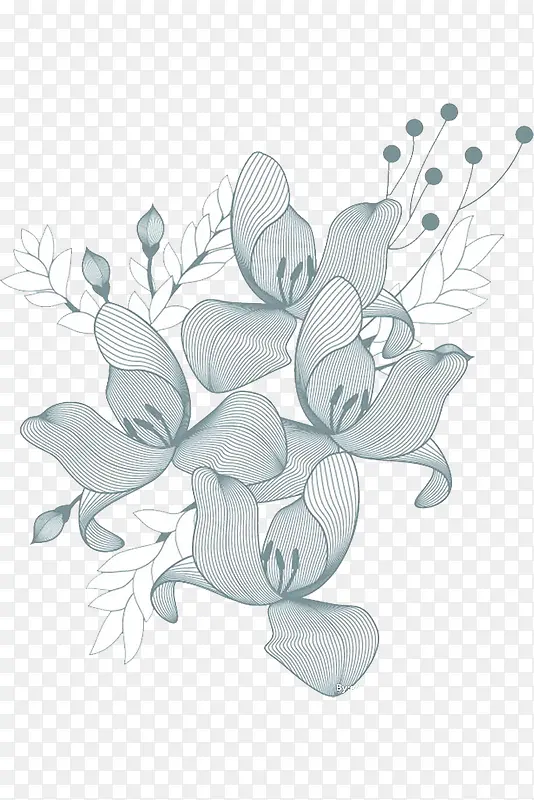 杏花花瓣